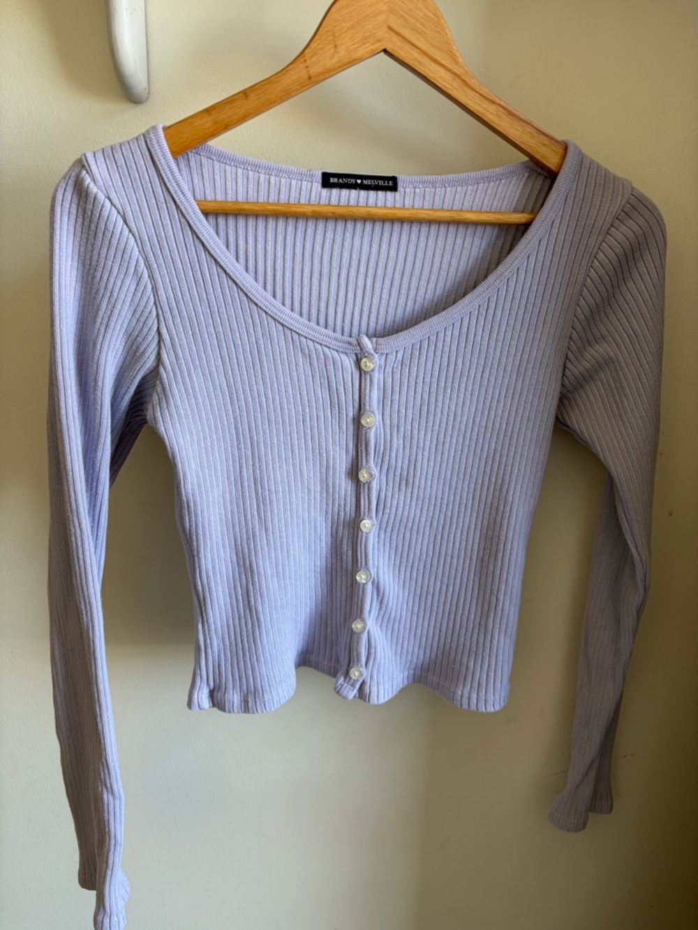 Brandy Melville 💜 Cropped Ribbed Button-Down Sweater